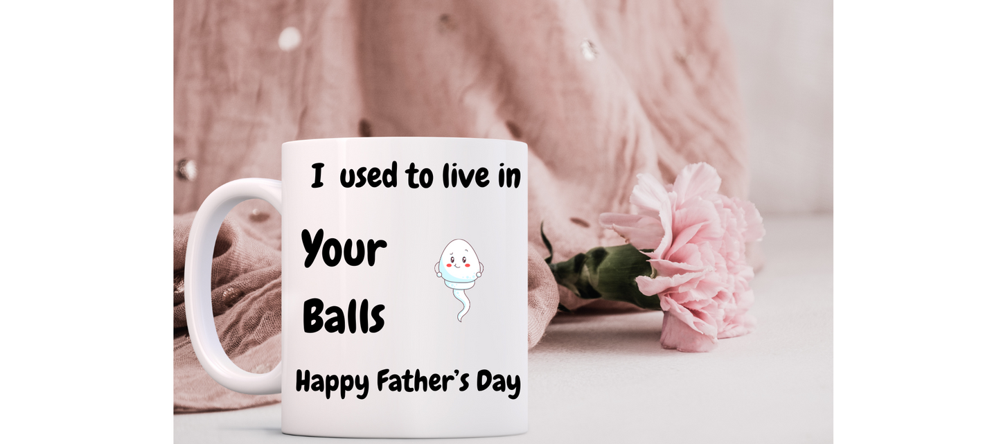 I used to live in your balls