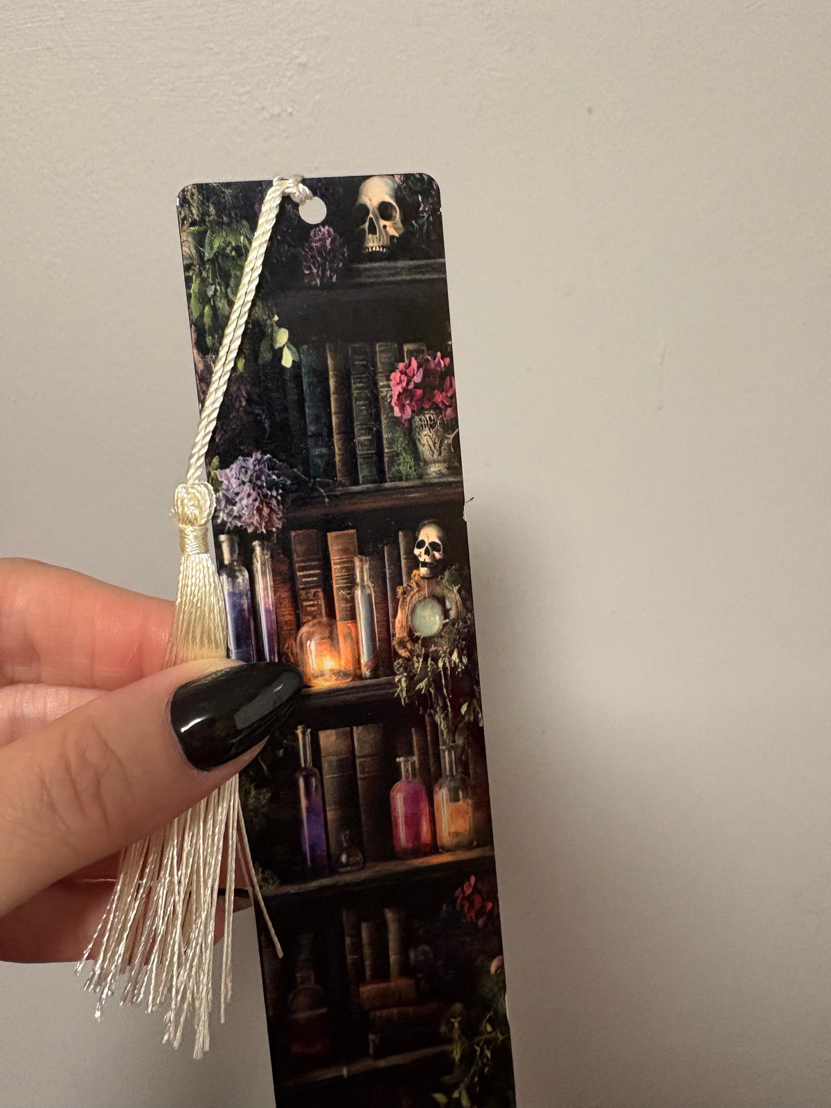 Skull and bookcase