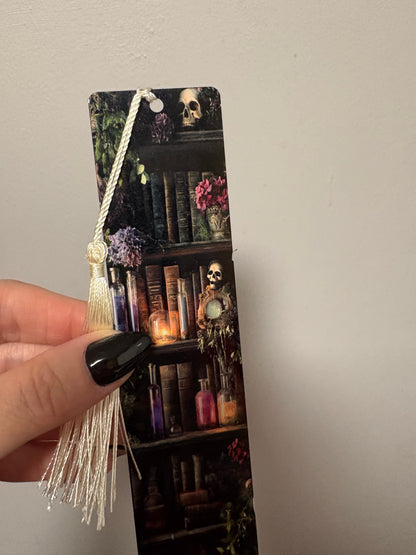 Skull and bookcase