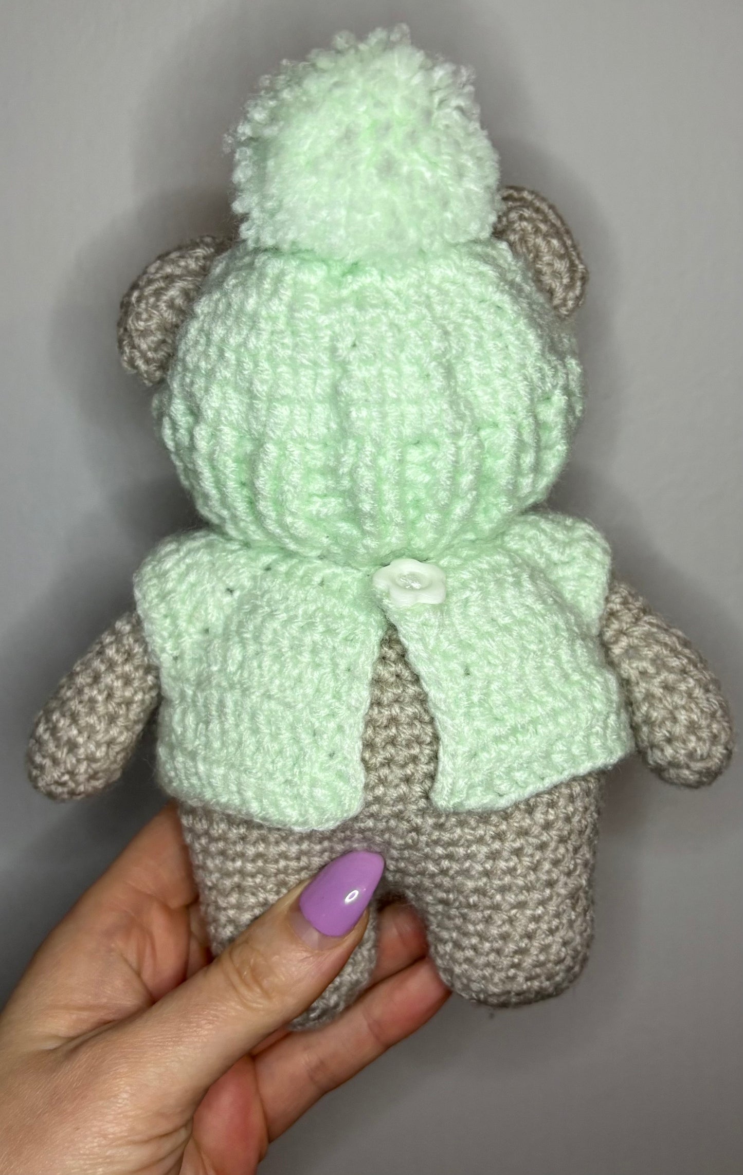 Flash The Teddy (Crochet Toy)