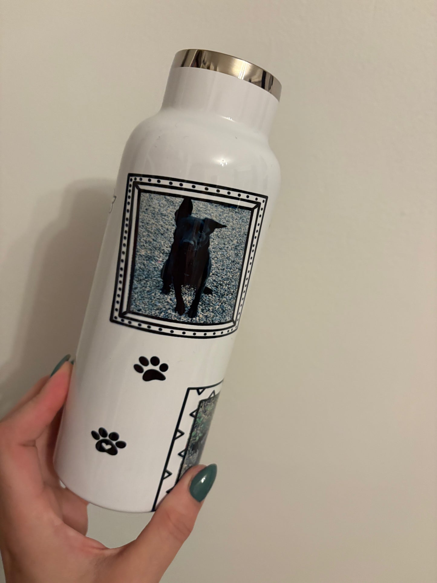 Dog walking bottle