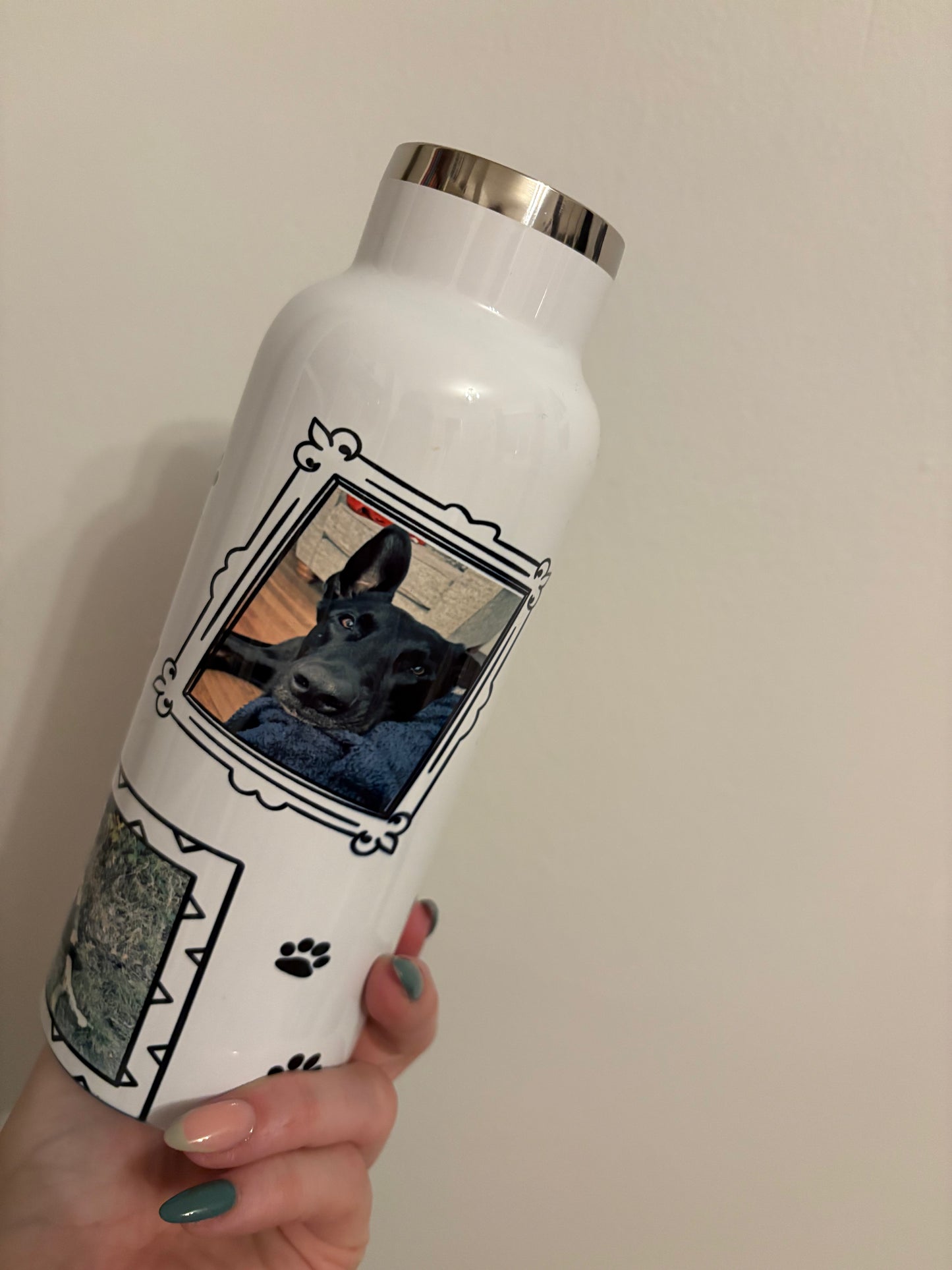 Dog walking bottle