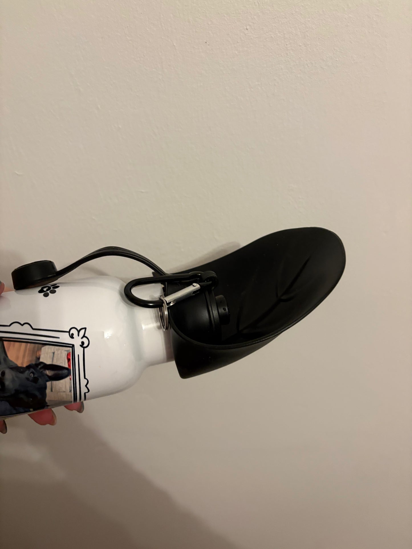 Dog walking bottle