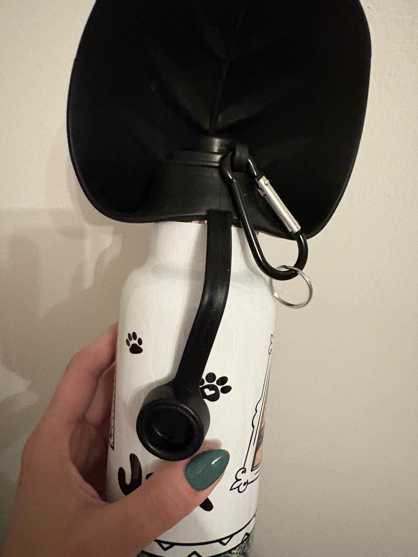 Dog walking bottle