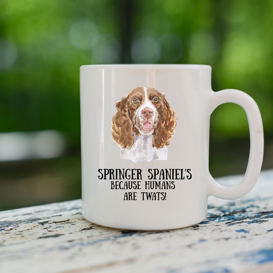 Springer Spaniel